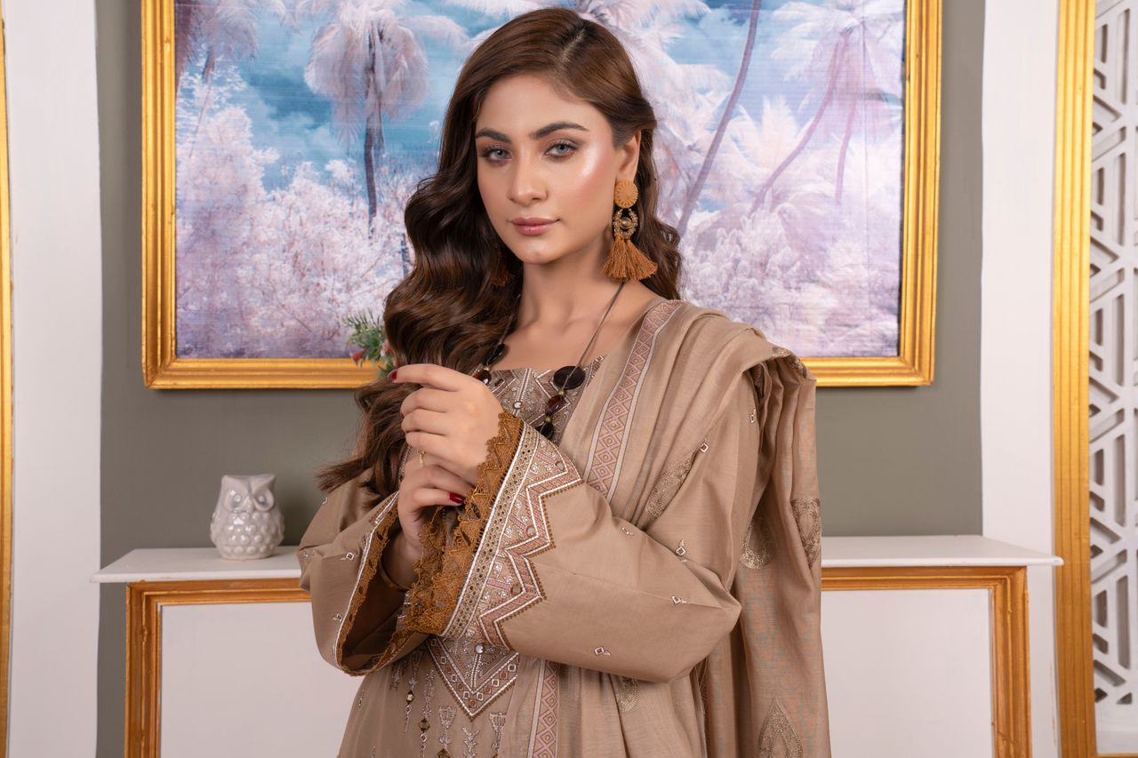 Portrait of an elegant woman in Lahore wearing traditional Pakistani clothing, radiating grace.